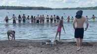 About 20 adults seen from behind holding hands in a chain in shallow water while 2 kids and a man stand on the beach.