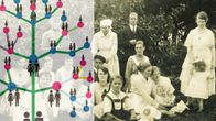 Ihmisiä 1920-luvun asuissa istuu ja seisoo nurmikolla, ja laidassa on grafiikka sukupuusta. 