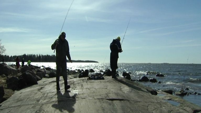 Du kan få en ful fisk på kroken | Inrikes | Svenska Yle