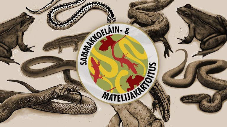 sammakkoeläin -ja matelijakartoitus uusi logo