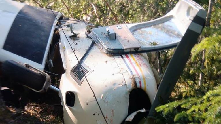 The wreckage of a small white plane that crashed in the woods.