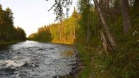 Jokimaisema Kitkajoella.