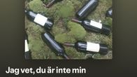 Kuvakaappaus Jacub-nimisen tekoälyartistin Spotify-sivusta.