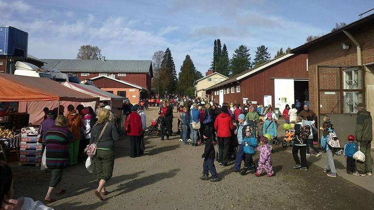 Maalaismarkkinat.