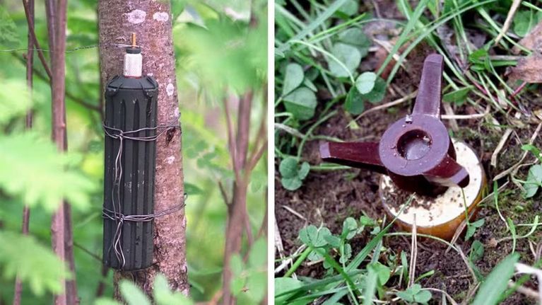 Bilden är delad i två mindre bilder. Till vänster en svart rund räfflad cylinder med en smalare vit del i ena ändan är fäst i ett träd med metalltrådar. Till höger ligger det nedgrävt i en mark med klöver och gräs en rund cirkelformad platta och på den någon form av konstruktion som fördelar sig i tre grenar.