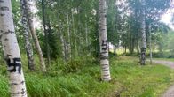 Puiston puita, joita on töhritty hakaristi-piirroksilla.