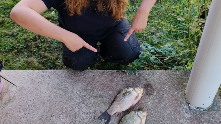 En person med långt vågigt hår sitter på knä utomhus och pekar på två fiskar som ligger på ett betonggolv.