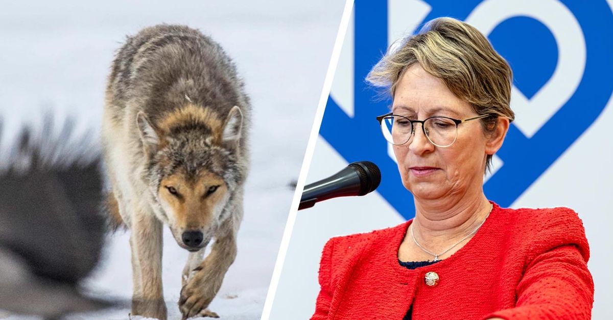 yle.fi