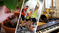 Kuvakombo: käsi istuttaa kasvia ruukkuun, Ihmisiä juoksemassa maratonia, syntikka ja rummut.
