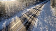 Ensilumi Kuusamon Rukajärvellä kelikameran kuvassa. Aurinko paistaa puiden lomasta.