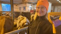 Luomuliiton varapuheenjohtaja, maidontuottaja Tiina Peltonen navetassa.