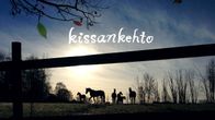 Kissankehto: Oli hyvä, että metsän takana kulki valtatie