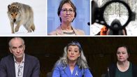 Kuva sudesta, maa- ja metsätalousministeri Essayahista, aseen tähtäimestä sekä maa- ja metsätalousvaliokunnan johtajista.