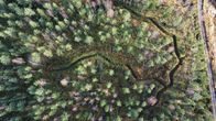 Metsää ja ojan näköisiä rakenteita kuvattuna ilmasta. Oikealla kulkee autotie.