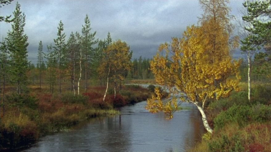 Tenojoki syksyllä