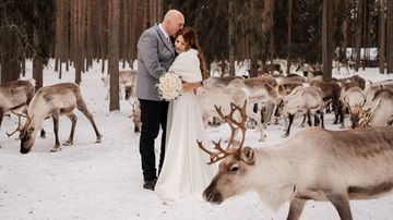 Morsiuspari halaa toisiaan porojen keskellä lumisessa maisemassa.