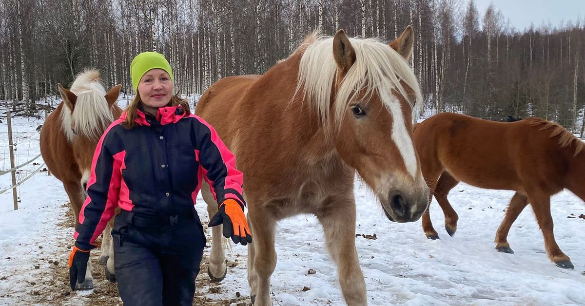 Hiekoitussoran kysynnässä raju piikki – hevostilallinen keksi ...