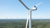 Parikymmentä korkeaa tuulivoimalaa kohoaa suomalaisen metsämaiseman ylle.