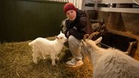 Eläintehoitaja Risto Tormonen kilin ja vuohen kanssa karsinassa.