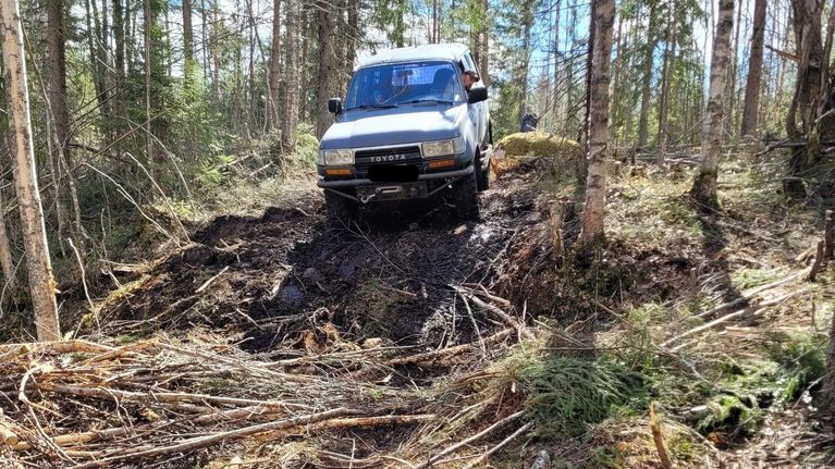 Kuvassa maastoauto metsässä.