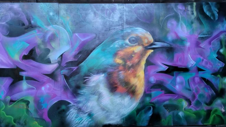Lintua esittävä graffititeos Vaasan uudessa Graffitilandiassa
