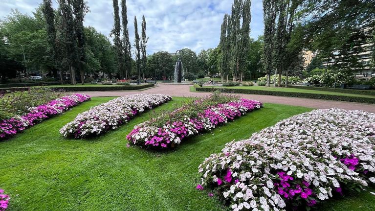 Puisto, jossa on valkoisia ja vaaleanpunaisia kukkaistutuksia. Taustalla on suihkulähde.