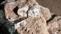 Arkeologisilla kaivaukset.