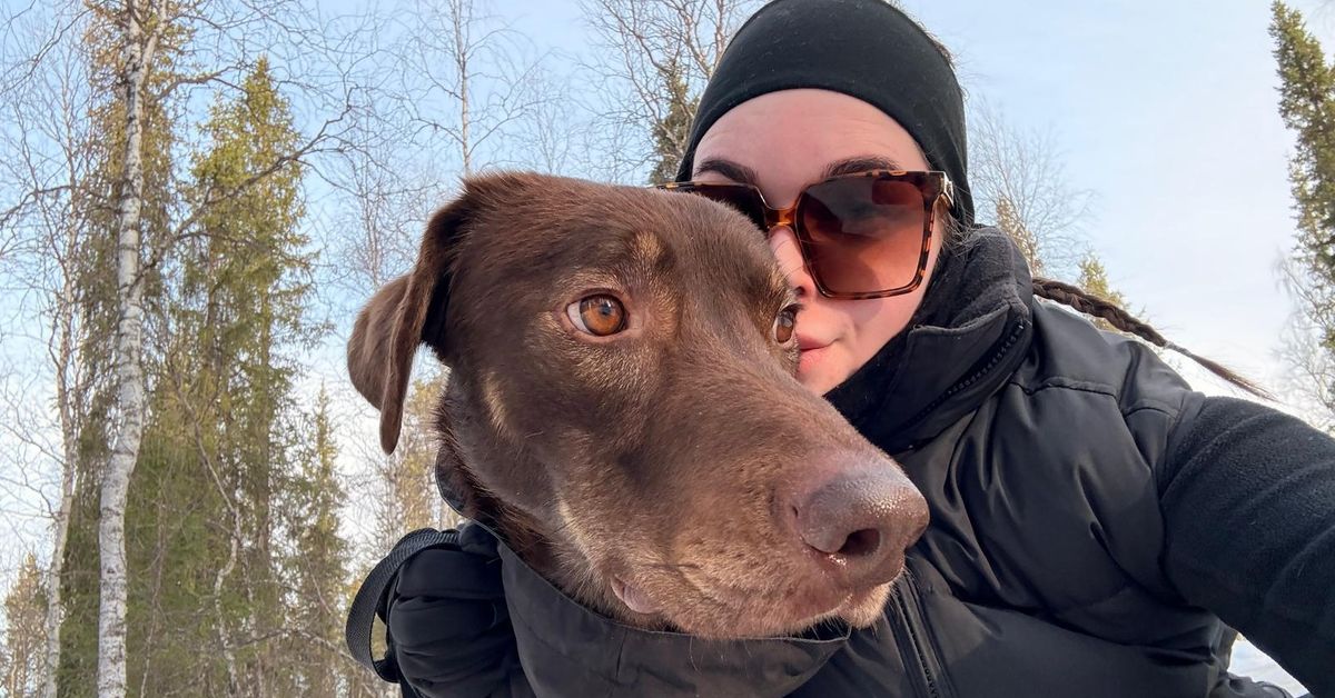 Eliise Kõiva järkyttyi nähtyään laiminlyödyn koiransa Ylen jutussa – näin rekikoiratarhalta pelastettu Nio voi nyt