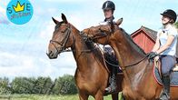Satu Liukkonen ja Sebastian Numminen hevosten selässä