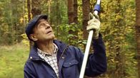 Mauno Koivisto metsänraivauksessa Inkoon Tähtelässä