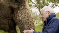 Luontohetki: Attenborough´n erikoiset, yle tv1