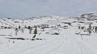 hiihtoladut Pallas-Yllästunturin kansallispuistossa