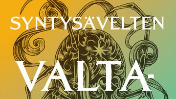 Kirjan keltavihreä kansi, jossa musta hämähäkkikuvio.