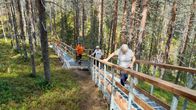 Kaunisharjun portaat Sallan kansallispuistossa