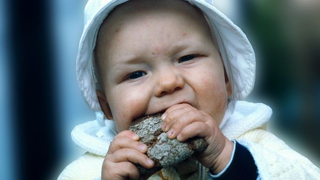 Toddler wearing a white cap and jumper eating a piece of brown rye bread.