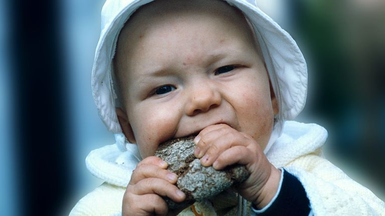 Toddler wearing a white cap and jumper eating a piece of brown rye bread.