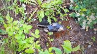Tien pientareella auton rengas ja naisen kiilakorkosandaali, jonka vieressä veriläikkä.