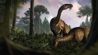 Kaksi sauropodia ruokailee metsän keskellä esihistoriallisessa maisemassa.