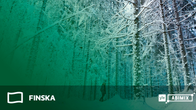 Abimix grafik för studentexamensproven i finska.