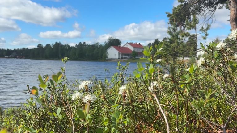 Sevettijärven koulu siintää järvimaiseman takaa. 