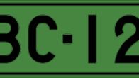 A green license plate.