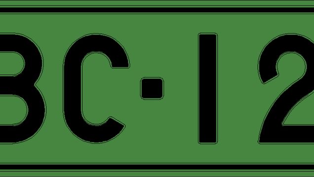 A green license plate.