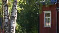 En skolbyggnad och två björkar.