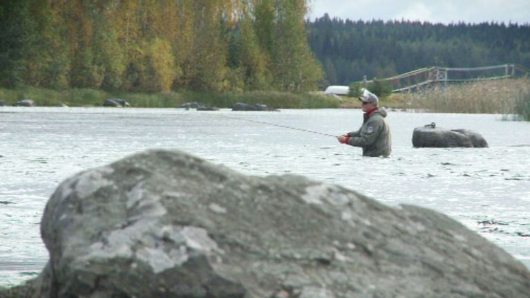 Näyttelijä Kari Hietalehti perhostelee Tervon Äyskoskella 2011.