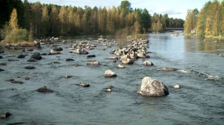 Tervon Äyskoski syyskuussa 2011.