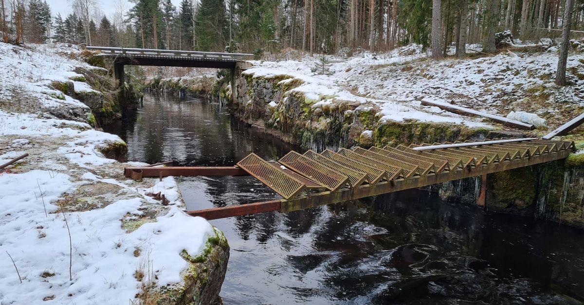 perheen-iti-minna-suominen-katosi-12-vuotta-sitten-nyt-poliisi-aikoo