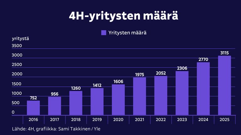 4h-yritysten lukumäärä grafiikkana.