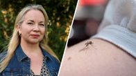 Kuvakombo, jossa Ulla Malminen ja toisessa kuvassa hyttynen ihmisen kädellä.