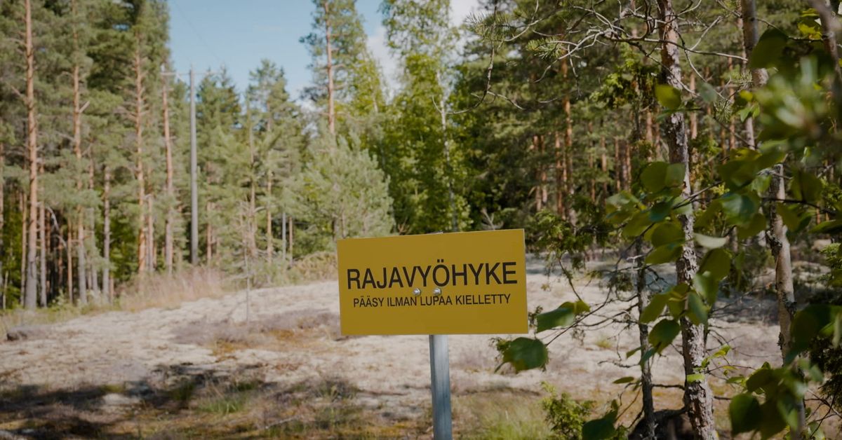 Border guards fined for allowing family members into forbidden zone to pick berries, visit cabin