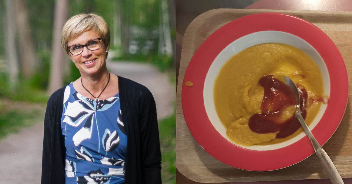 Rehn-Kivi om kritiken mot välfärdsområdets matproducent: ”Om inte det ...